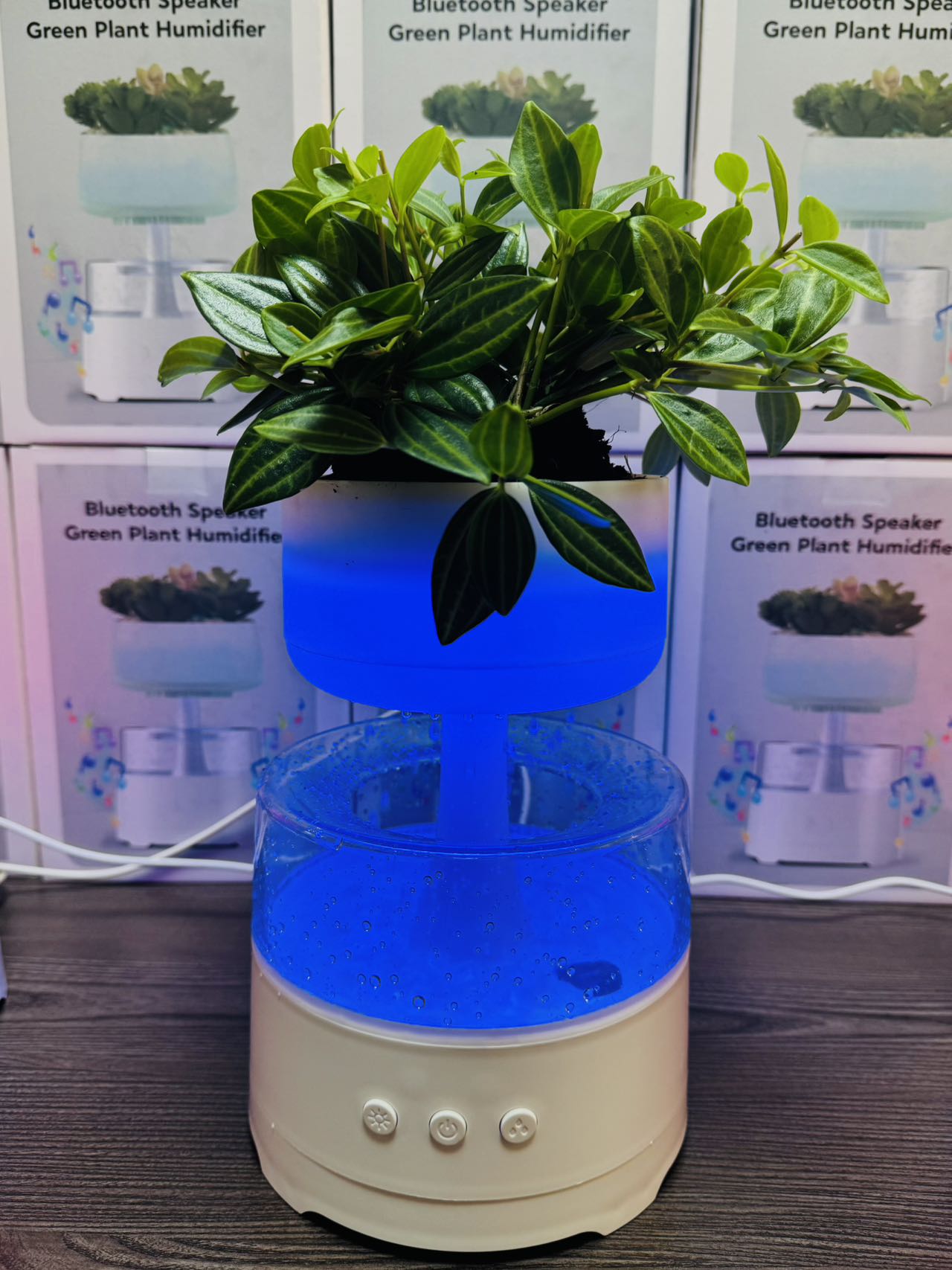 Plant Music Bluetooth humidifier Application Scenario
