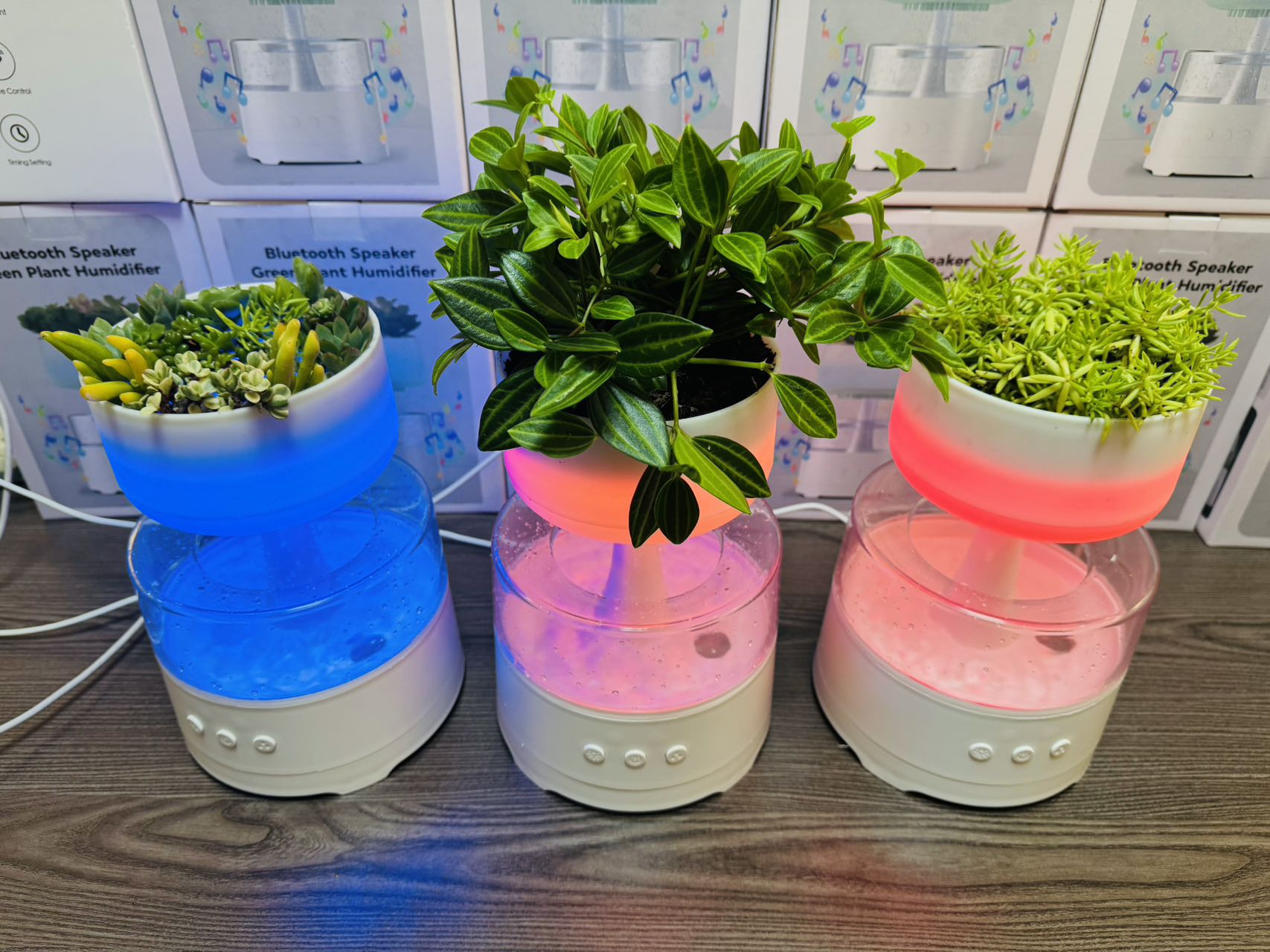 Plant Music Bluetooth humidifier details Picture
