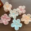 The summer Amazon gradient candy-colored frangipani hairpin is cute and sweet. The side clip is a teenage girl's hair accessory Application Scenario