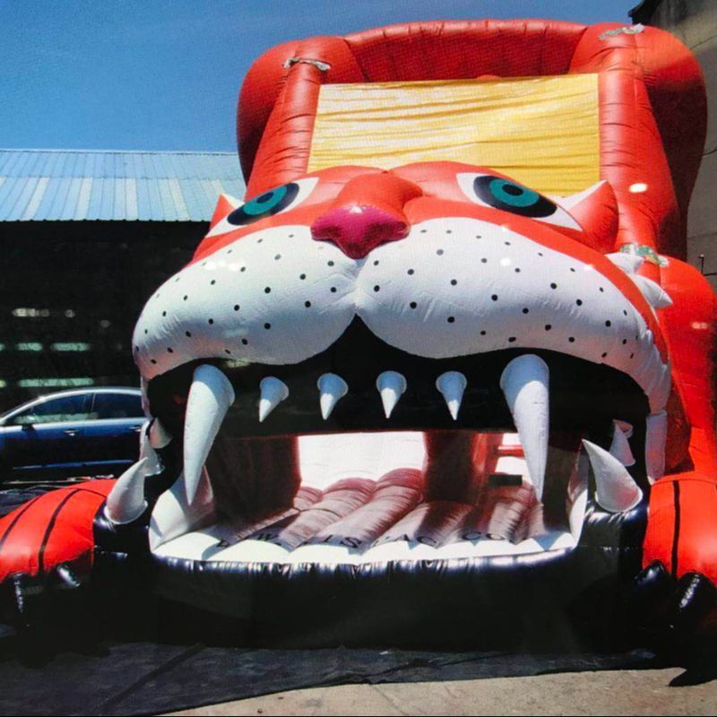 Factory direct sales of large inflatable outdoor facilities for children details Picture