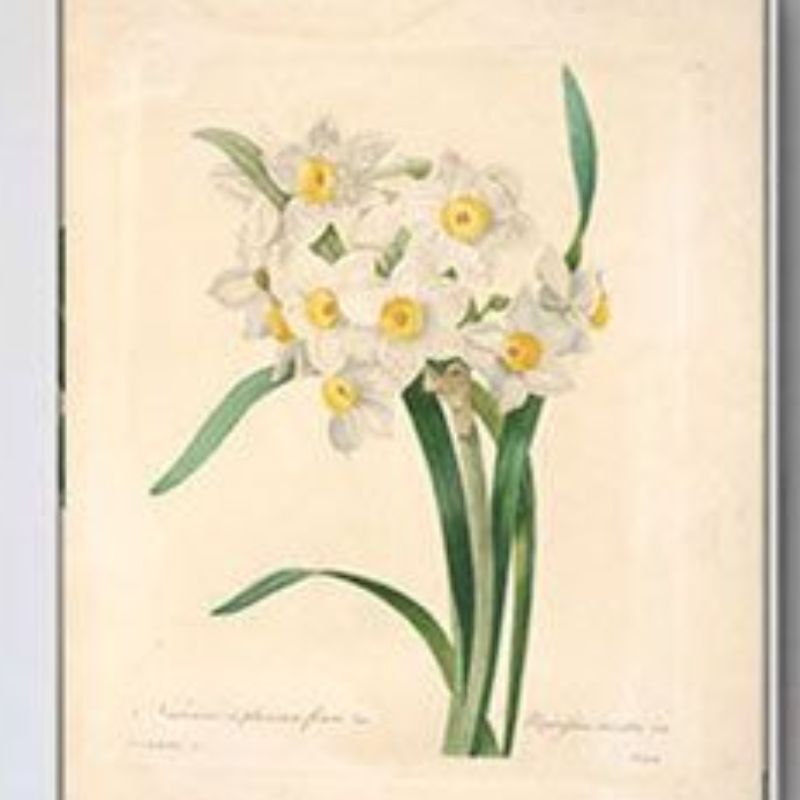 装饰画/装饰画客厅/客厅画欧式/卷轴/装饰画带框产品图