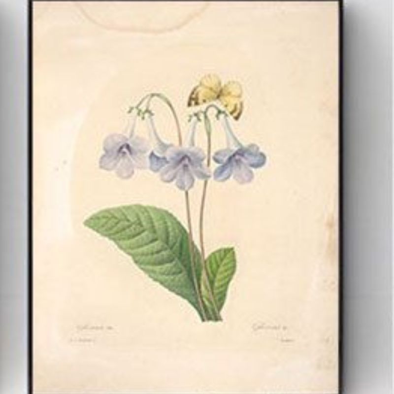 装饰画/装饰画客厅/客厅画欧式/卷轴/装饰画带框细节图