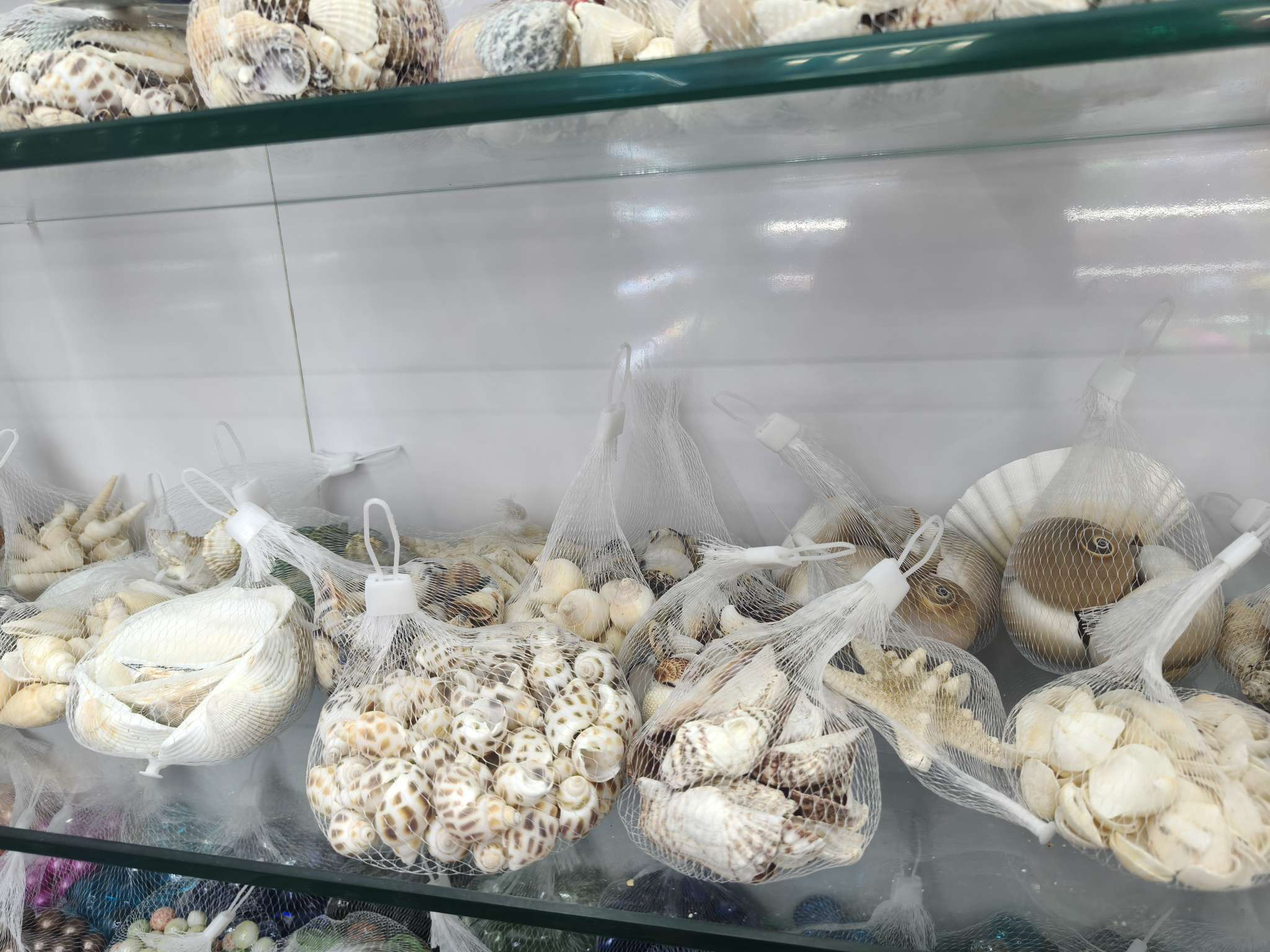 鱼缸造景天然贝壳海螺海贝海星无孔鱼缸造景手工装饰儿童