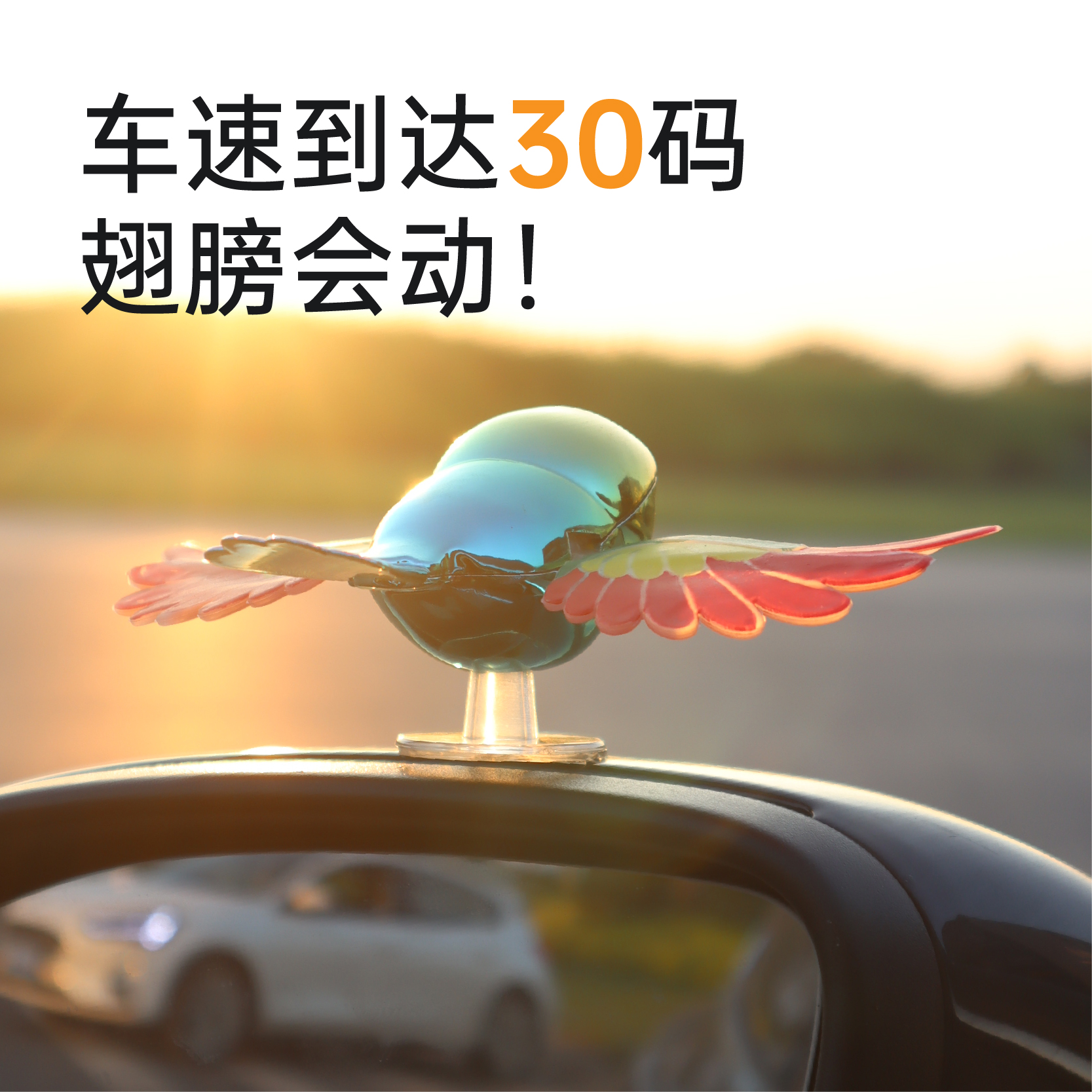 其他汽车外饰用品实物图