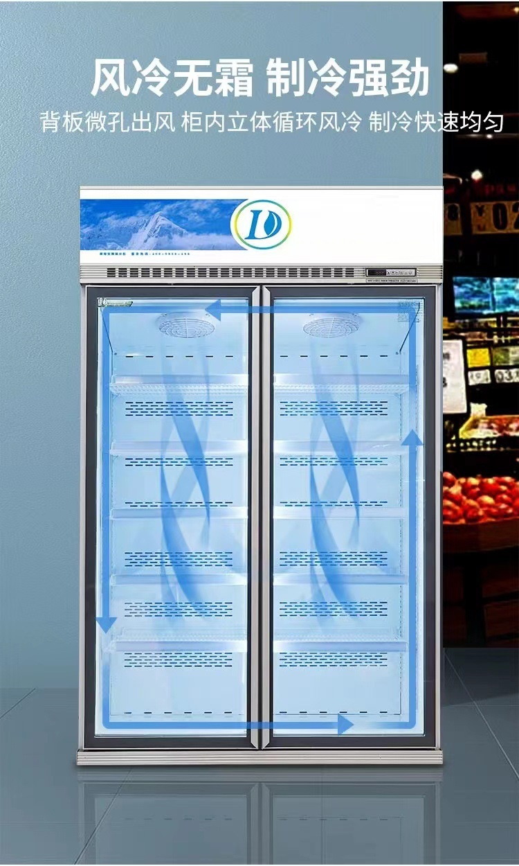 商用节能2门3门玻璃展示冻品GlassDoorFreezer立式冷冻柜详情6