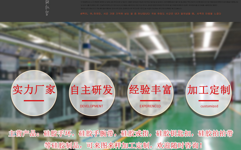 泰国泰语硅胶手环纪念泰皇泰后泰文手腕带忠于泰王橡胶单色手环详情2