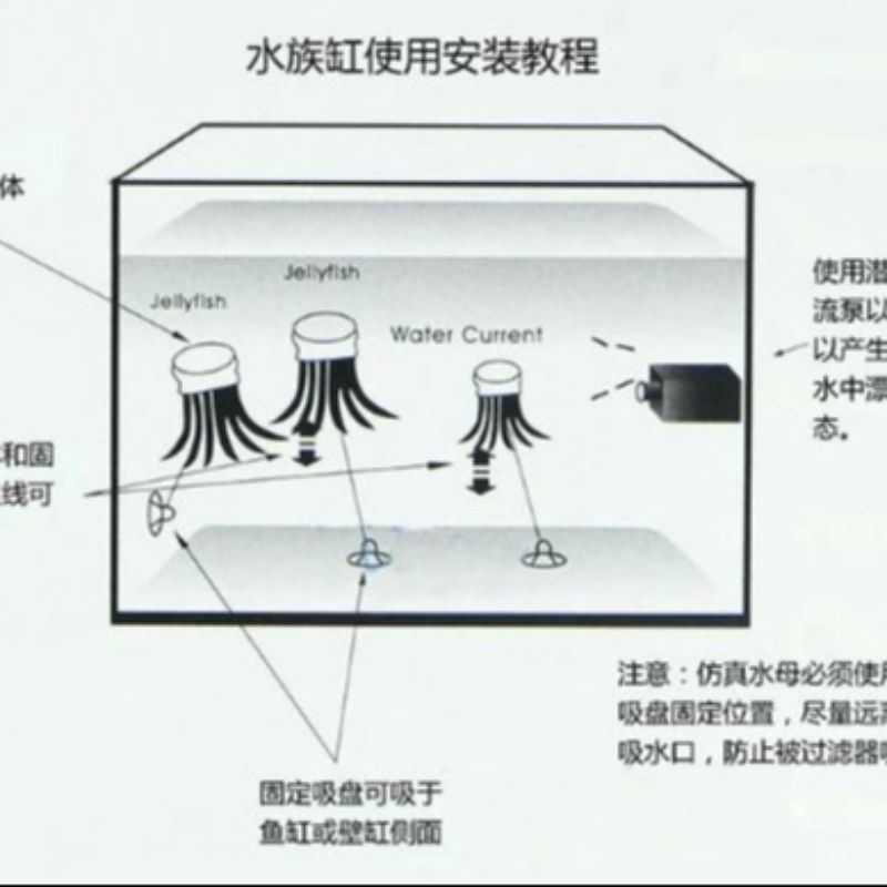 搞怪车宠/布偶猫仿真包/鸽子蛋配件/昆虫模型/小摆件少女可爱白底实物图
