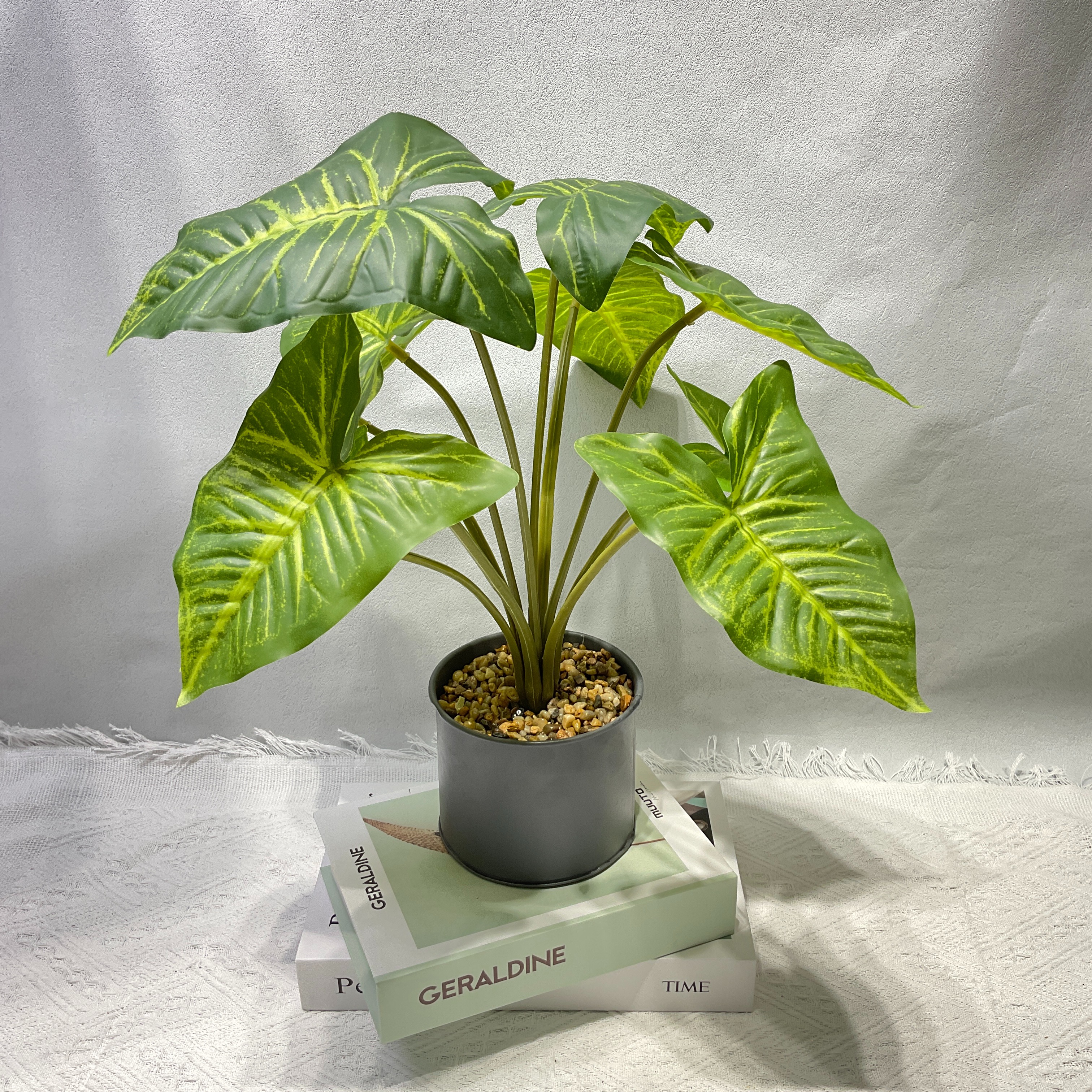 ZW仿真盆栽仿真竹芋植物装饰摆件室内绿植假植物