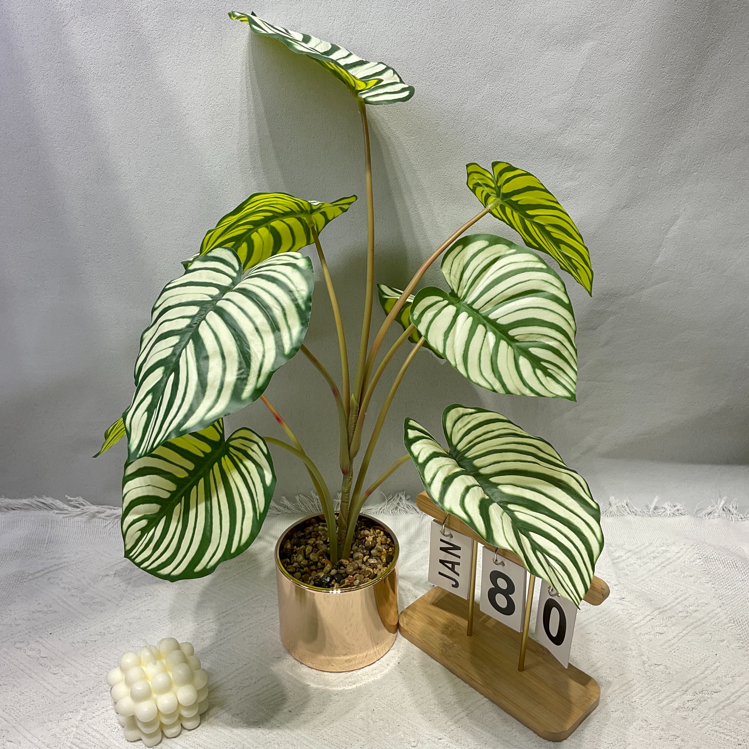 ZW57仿真盆栽仿真竹芋植物装饰摆件室内绿植假植物图