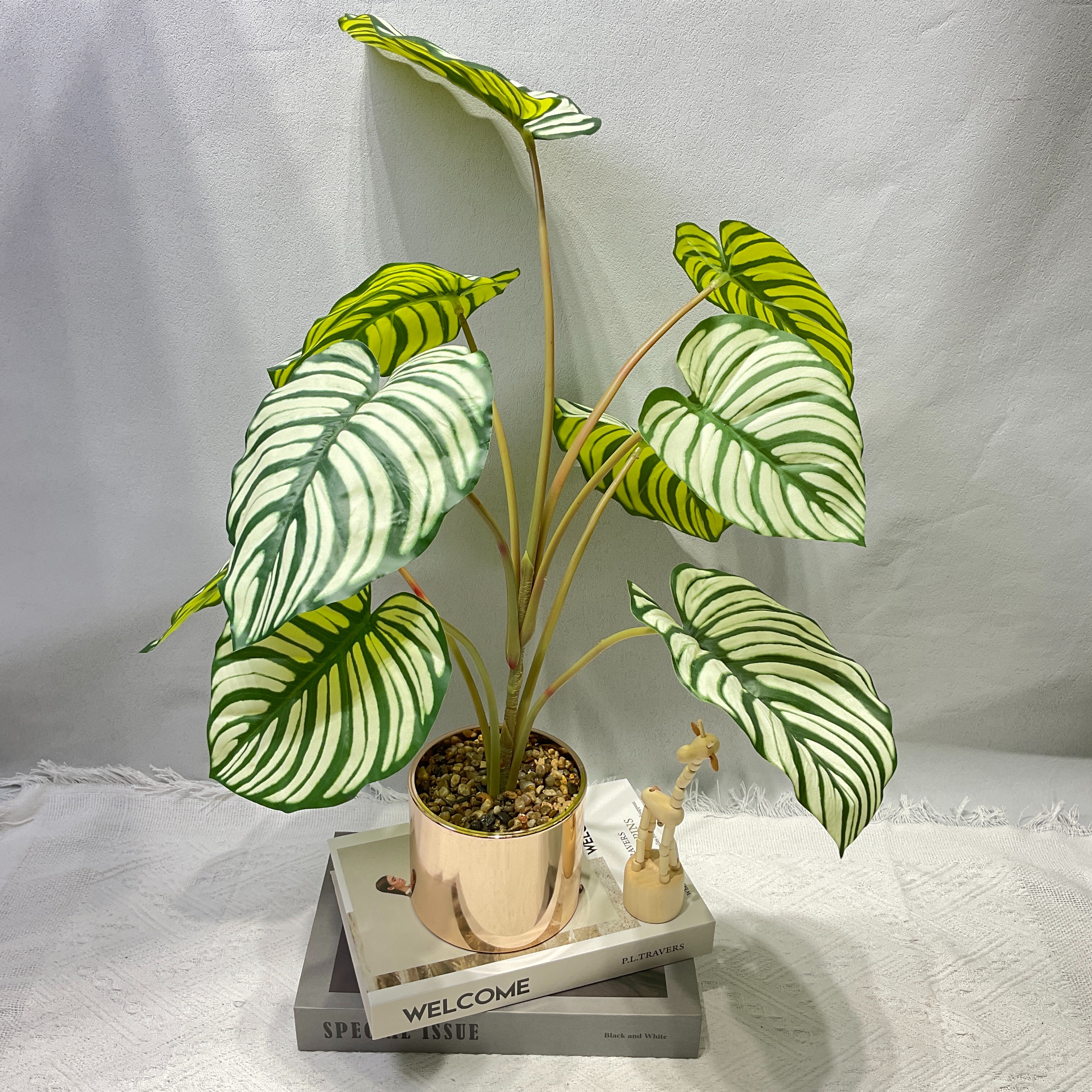 仿真植物实物图