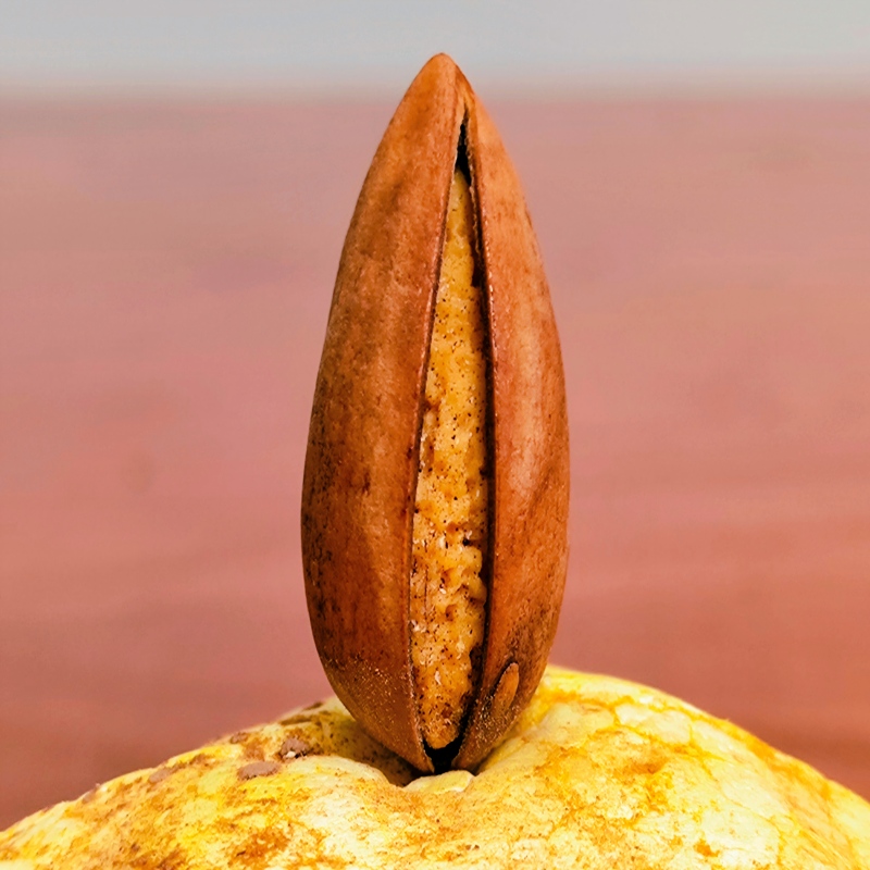 桐庐2025开口香榧新货 150g*6包香榧