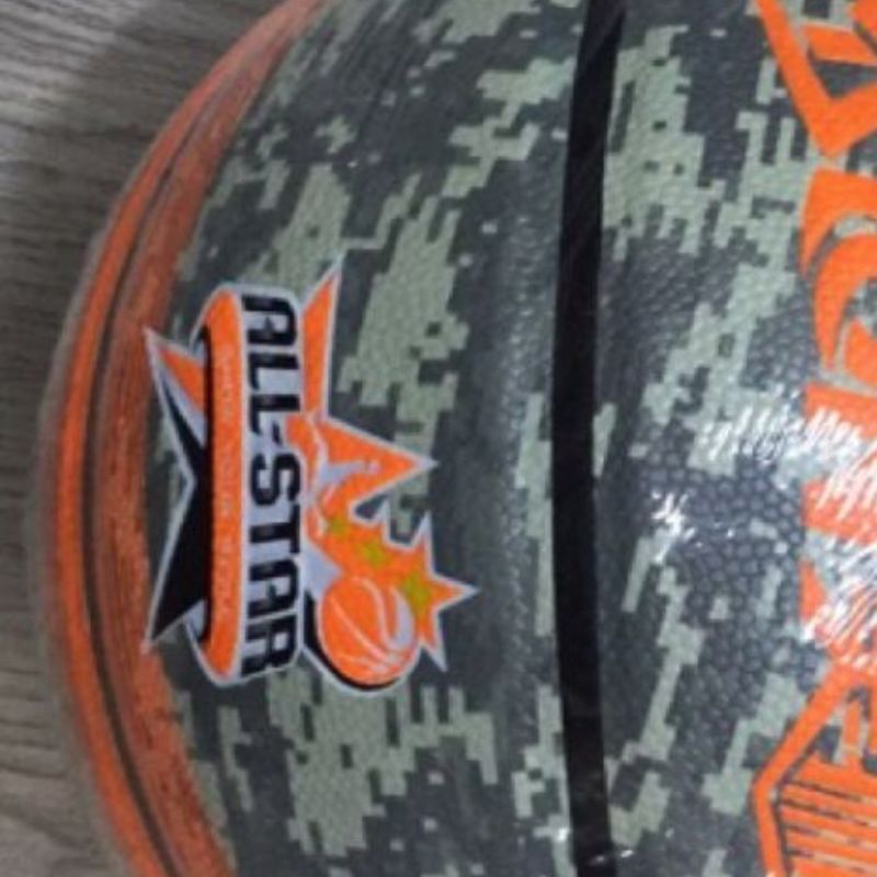 Lion Basketball 0234pu details Picture