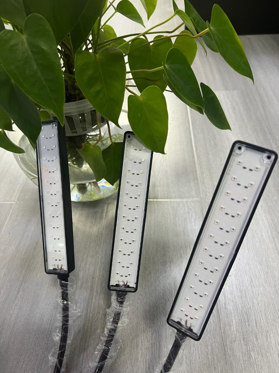 Plant growth lamp details Picture