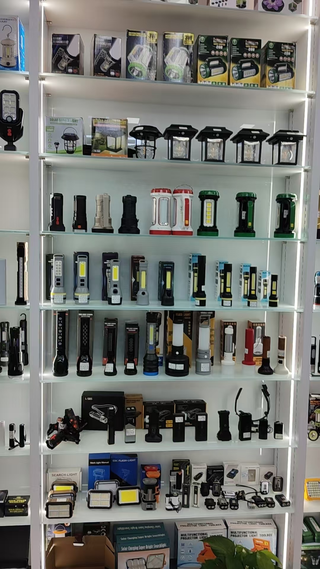 Pailide describe pic - 9