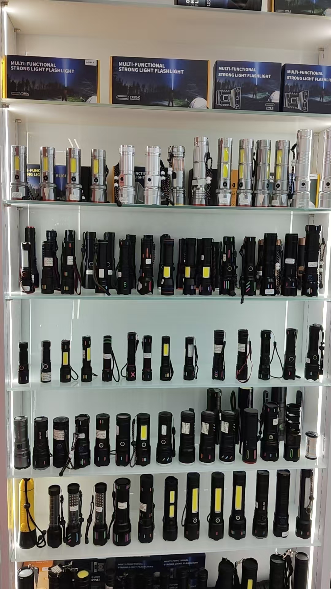 Pailide describe pic - 2