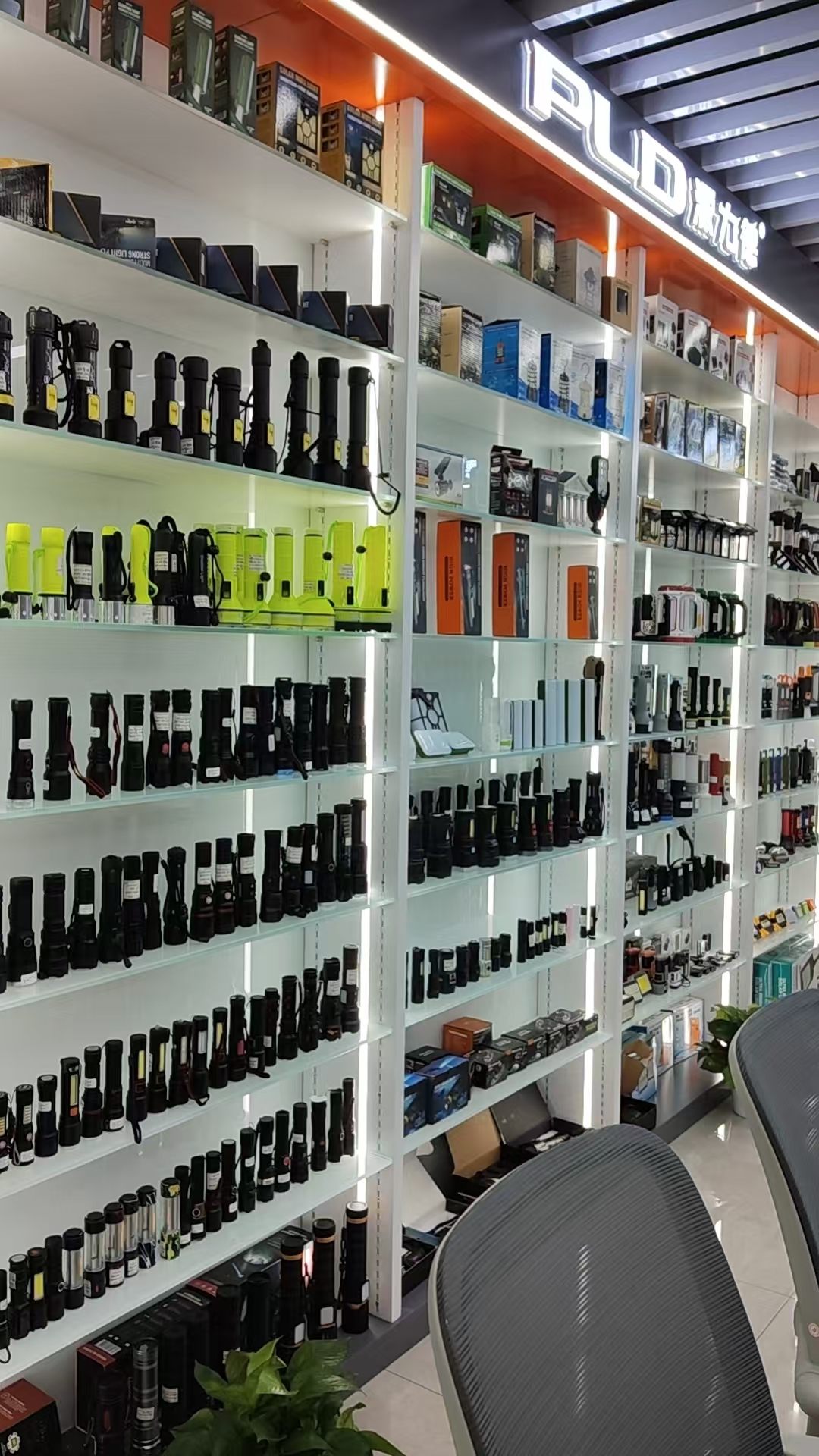 Pailide describe pic - 4