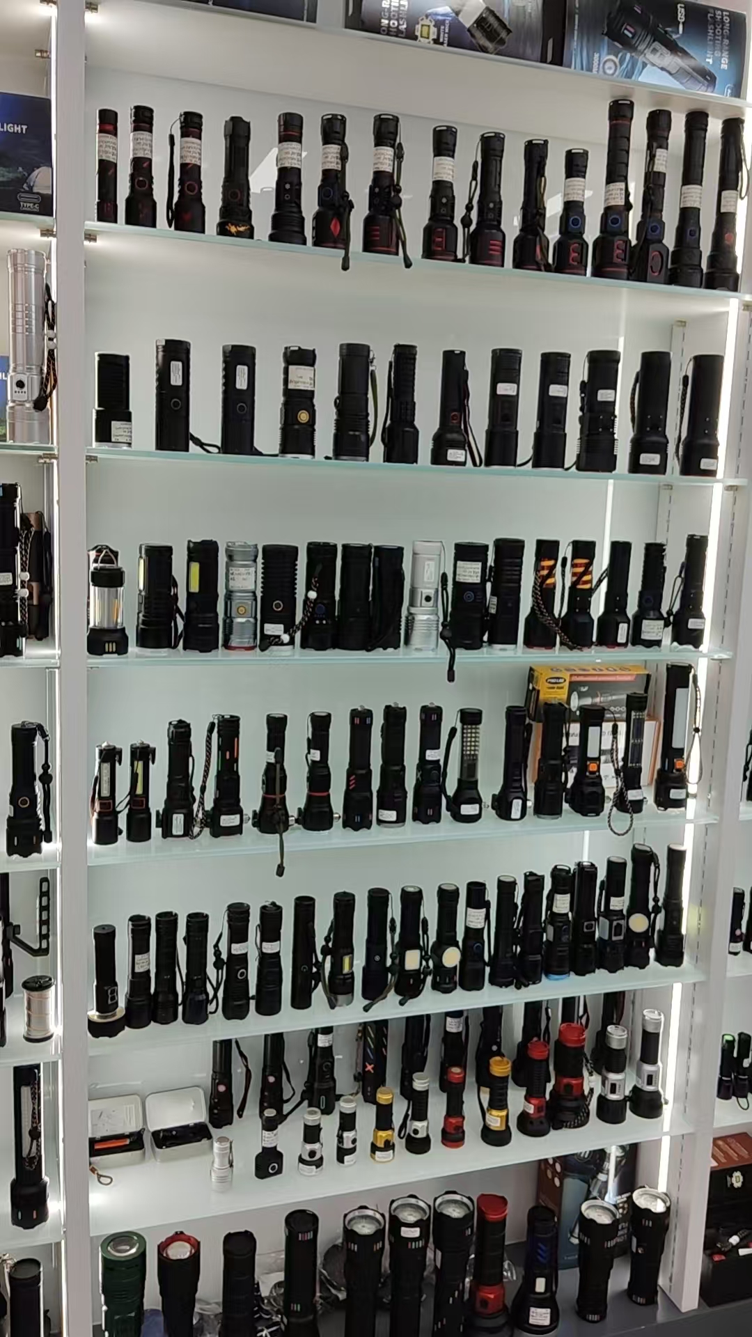 Pailide describe pic - 3