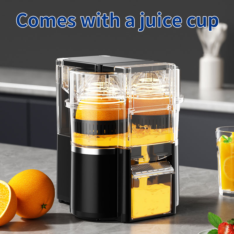 Double-head juicer details Picture
