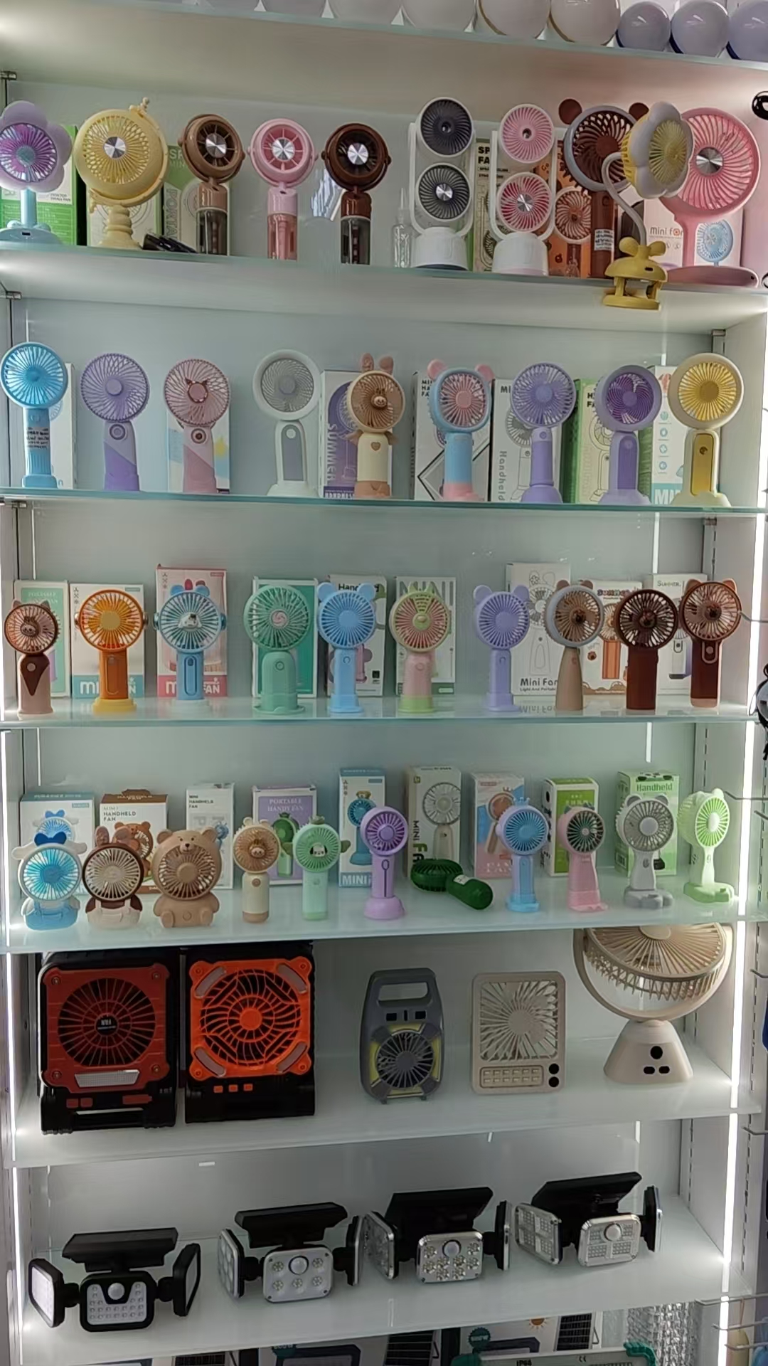 Pailide describe pic - 11