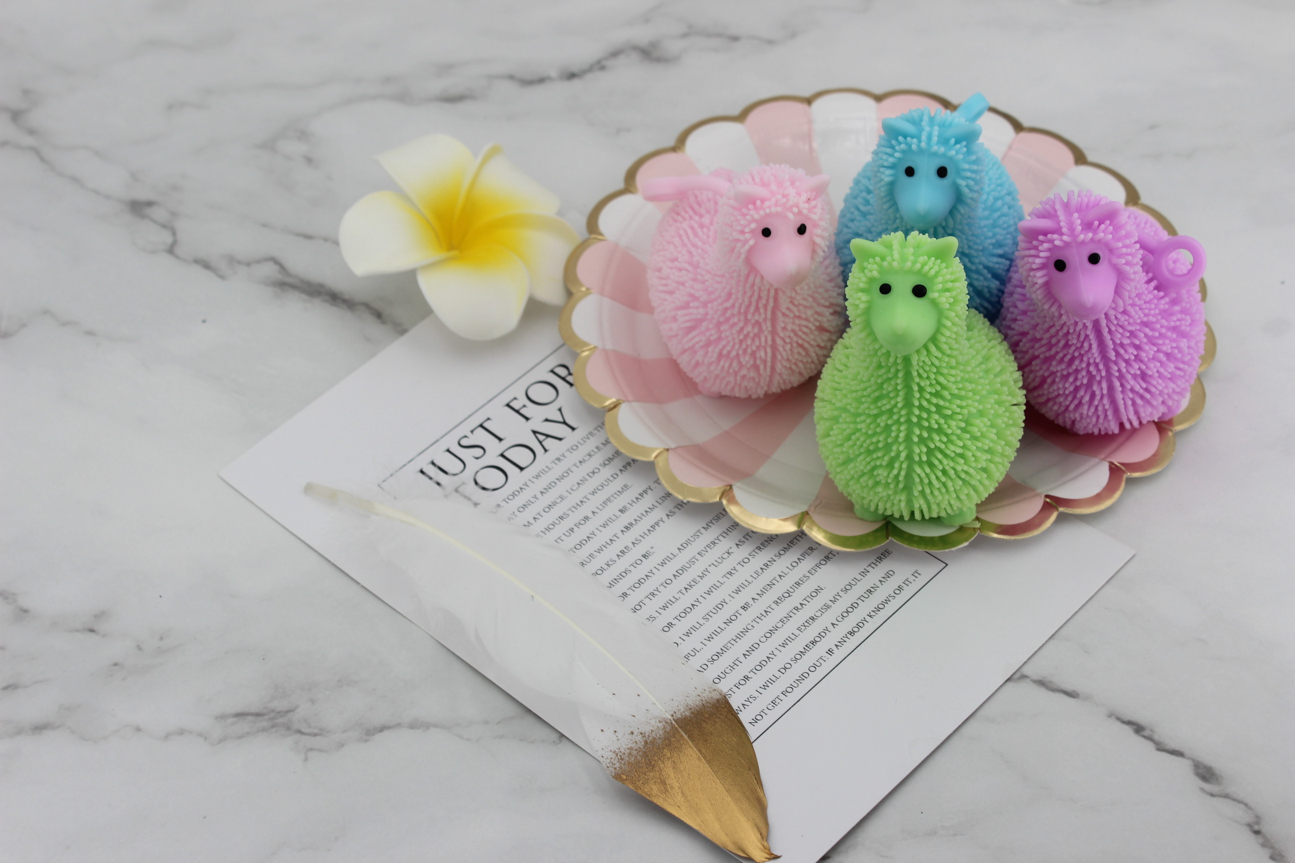 Little Alpaca, a best-selling toy for squeezing kids, is sold directly from the factory