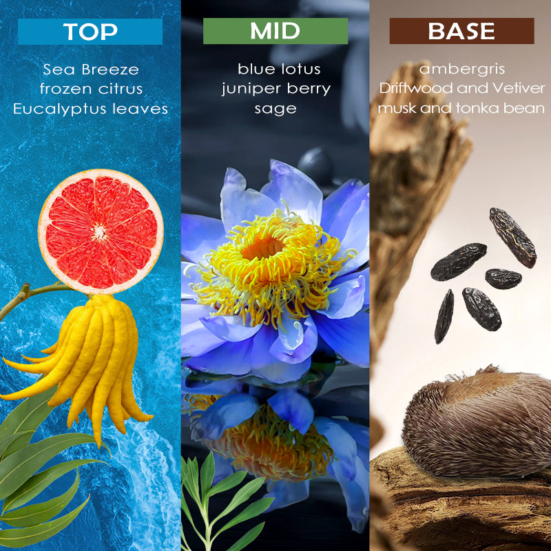 Deodorant Body Spray aerosol body deodorizing perfume spray Specification image