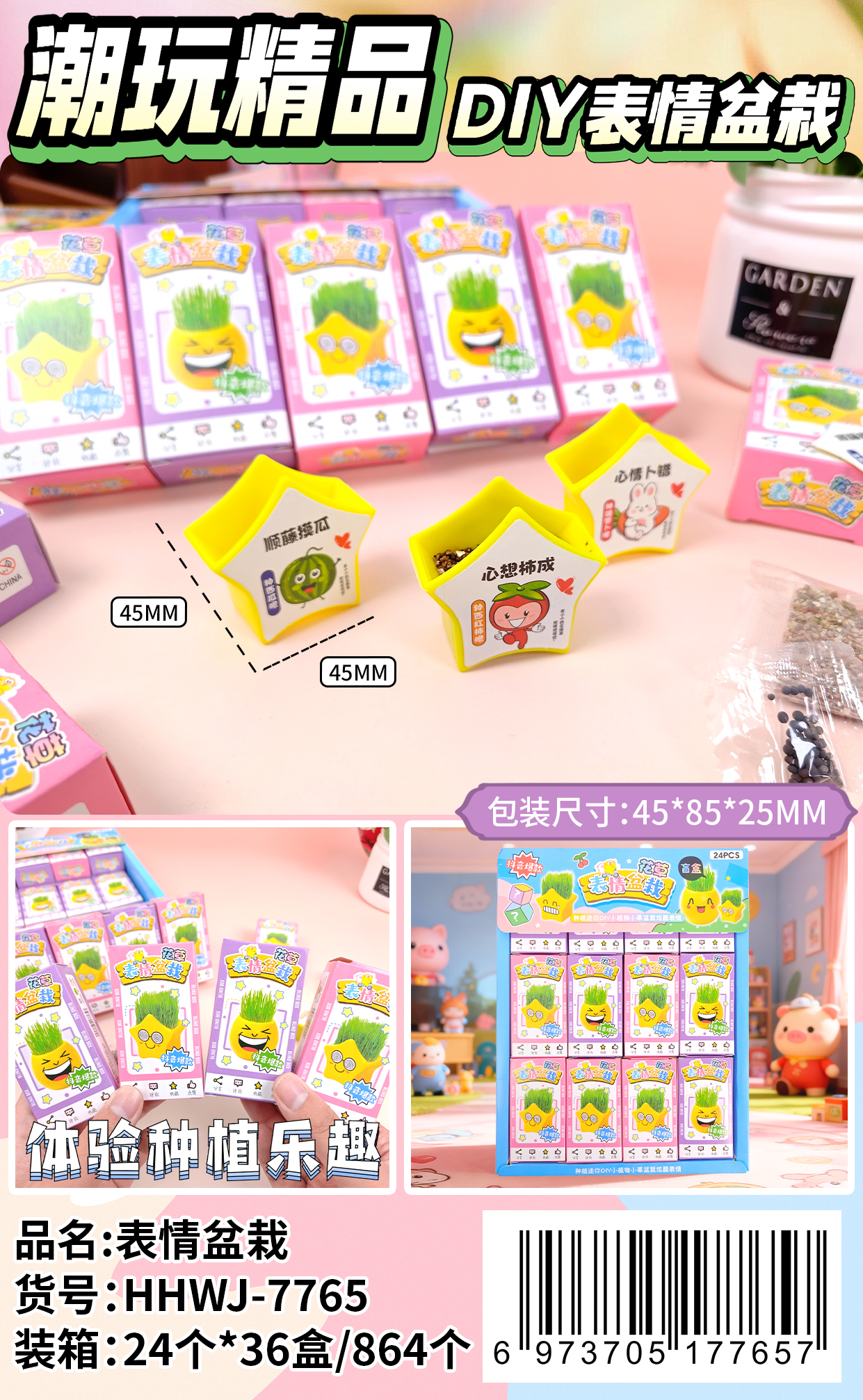 diy儿童表情盆栽体验种植乐趣迷你小植物桌面植物