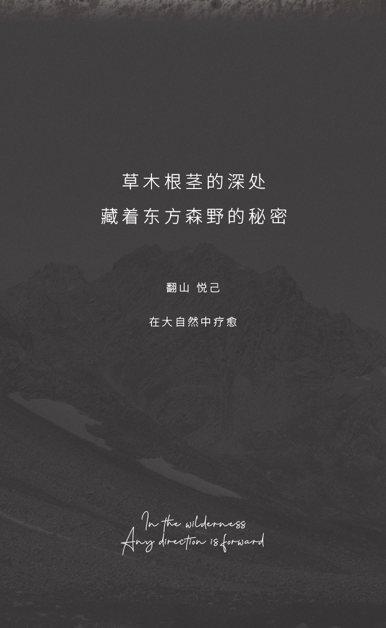 索苜香薰家用室内持久高级空气清新剂卧室香水房间卫生间香氛详情2