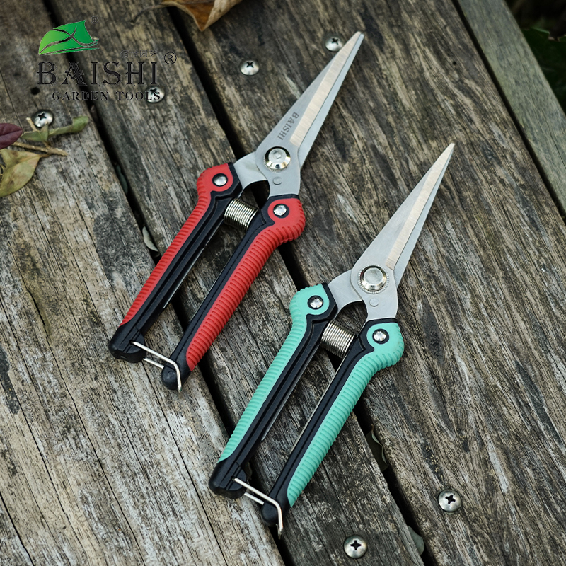 佰世园艺新款园林工具修枝剪亚枝剪摘果剪园林剪刀
