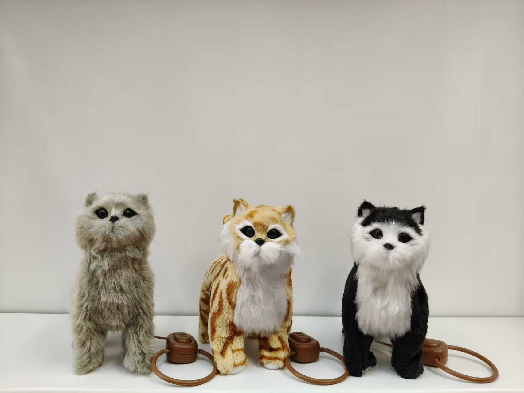 The eye-catching cat and dog series pull TAB, a new best-selling electric toy for cats