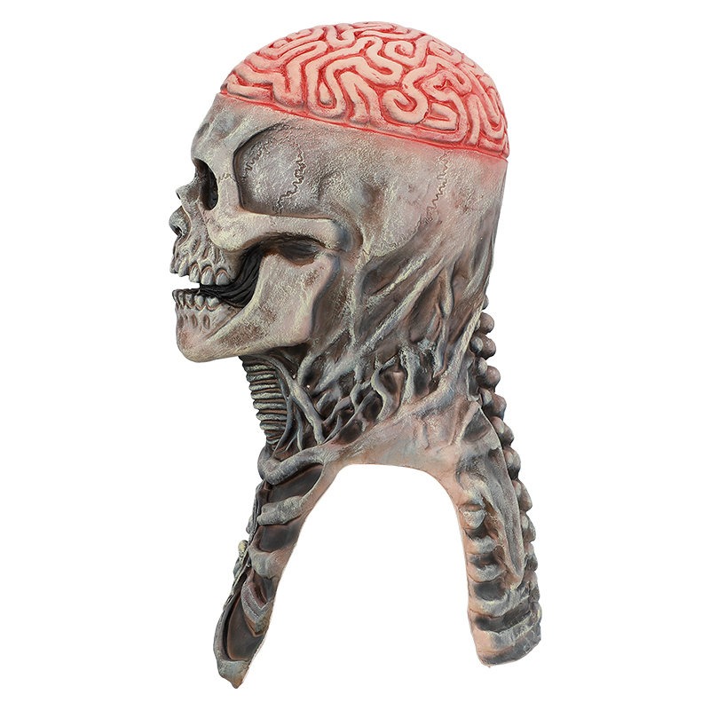 The terrifying skull head with exposed brain details is very realistic and suitable for Halloween props or collections Application Scenario
