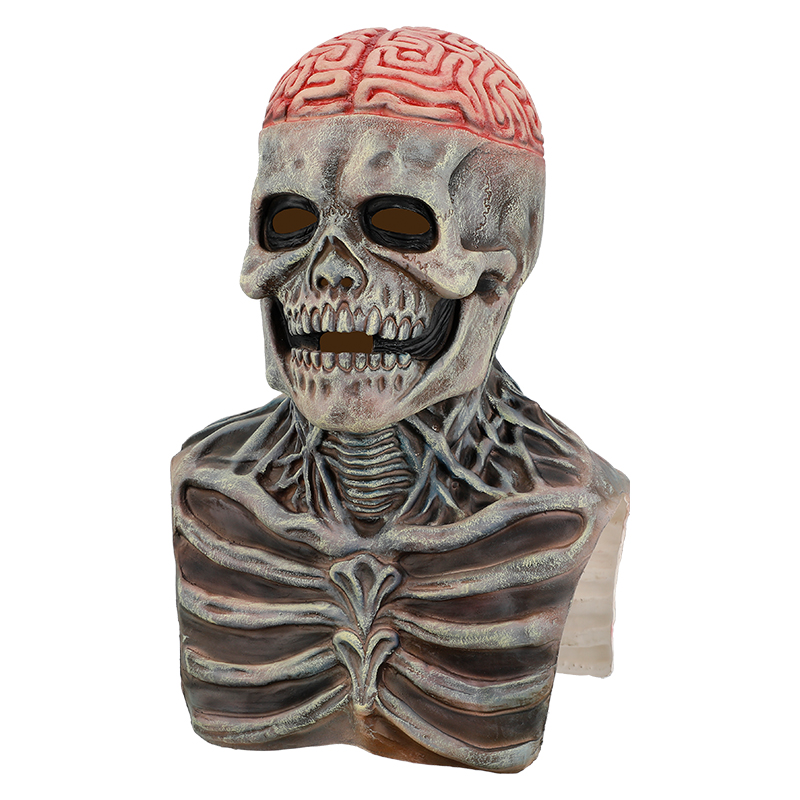 The terrifying skull head with exposed brain details is very realistic and suitable for Halloween props or collections Specification image