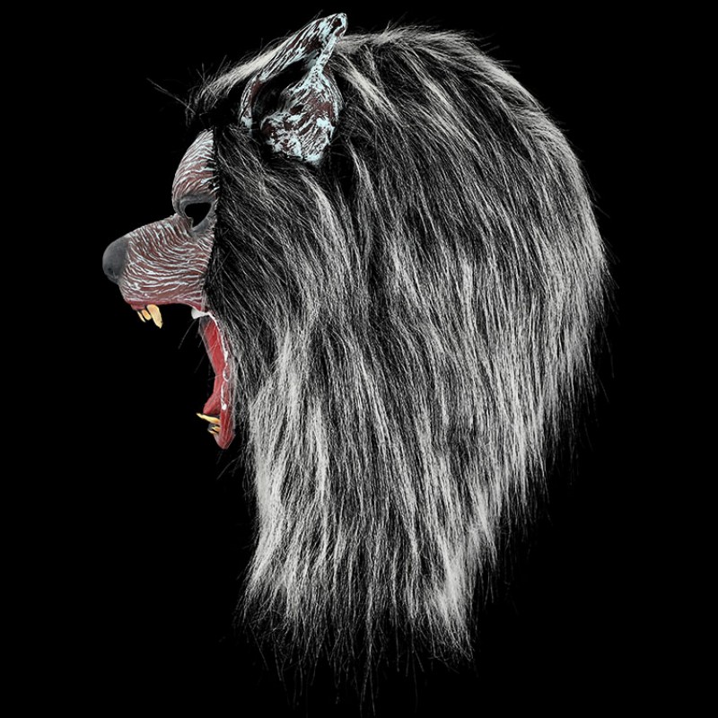 Black Wolf head roars, red lips and sharp teeth create a visually stunning mysterious biological art Application Scenario