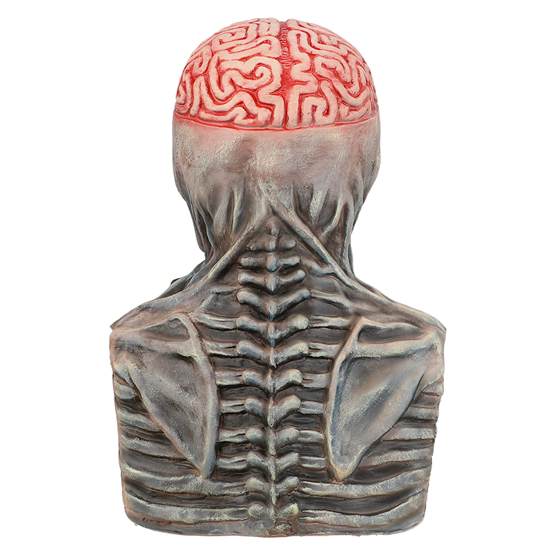 The terrifying skull head with exposed brain details is very realistic and suitable for Halloween props or collections Item Picture