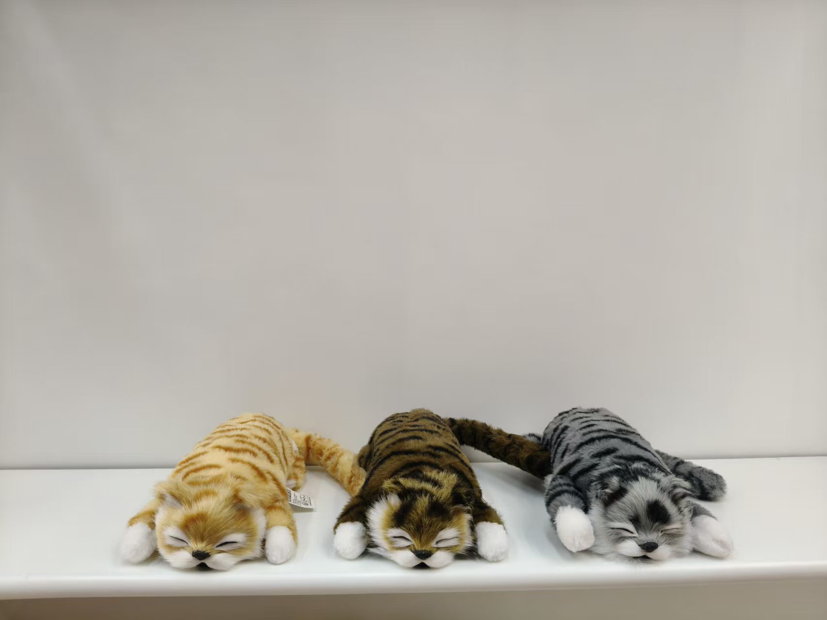New best-selling electric plush toys of the cat and dog series, such as small rolling cats, holiday gifts, etc