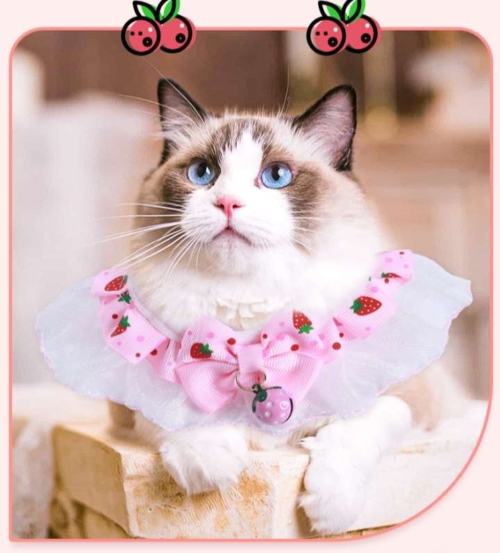 新款宠物猫咪草莓铃铛口水巾蕾丝口水巾项圈可调节围脖配