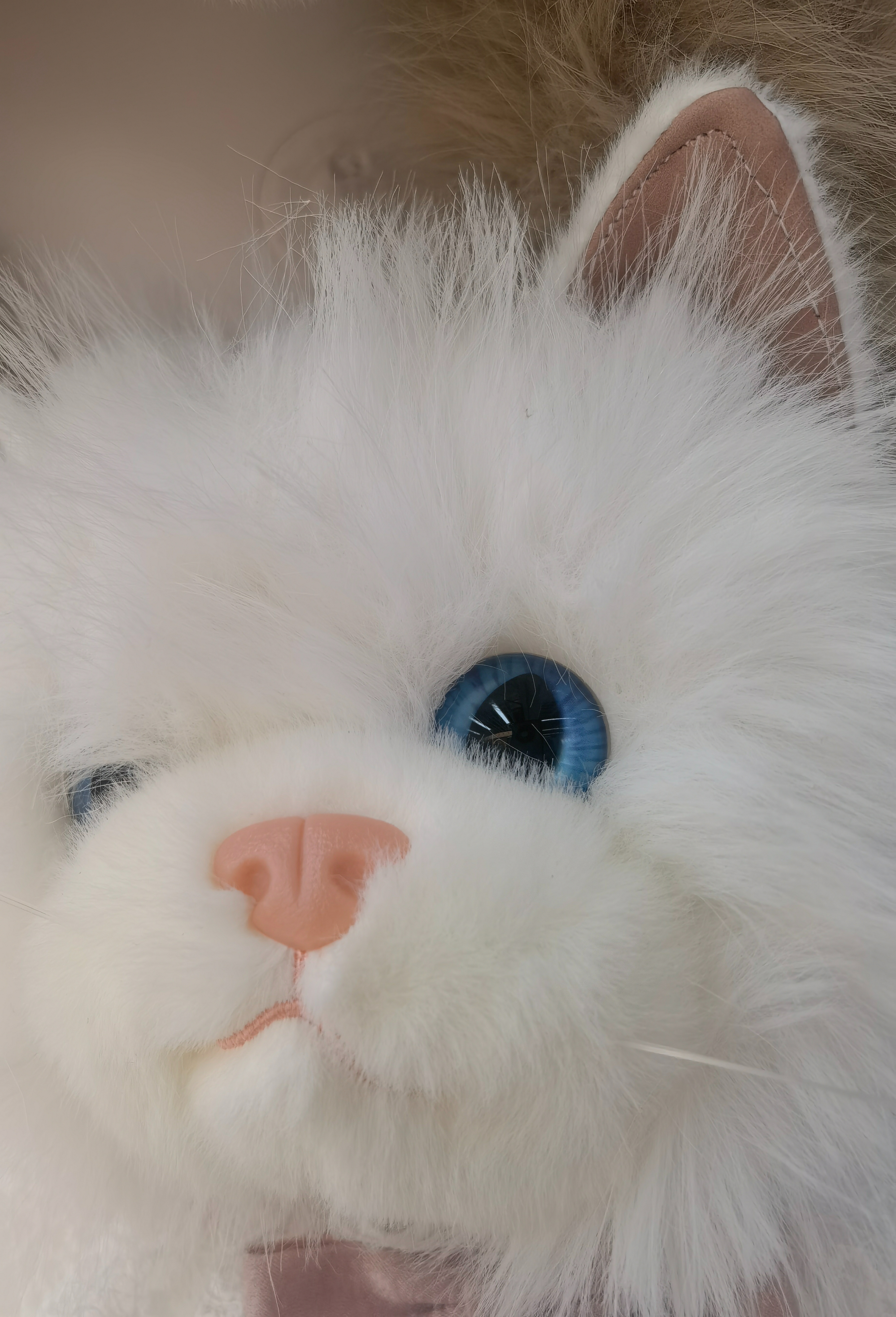 35CM cute pets are coming! This white plush cat wearing a lace bow is so adorable that it instantly captured the hearts of countless girls. Application Scenario