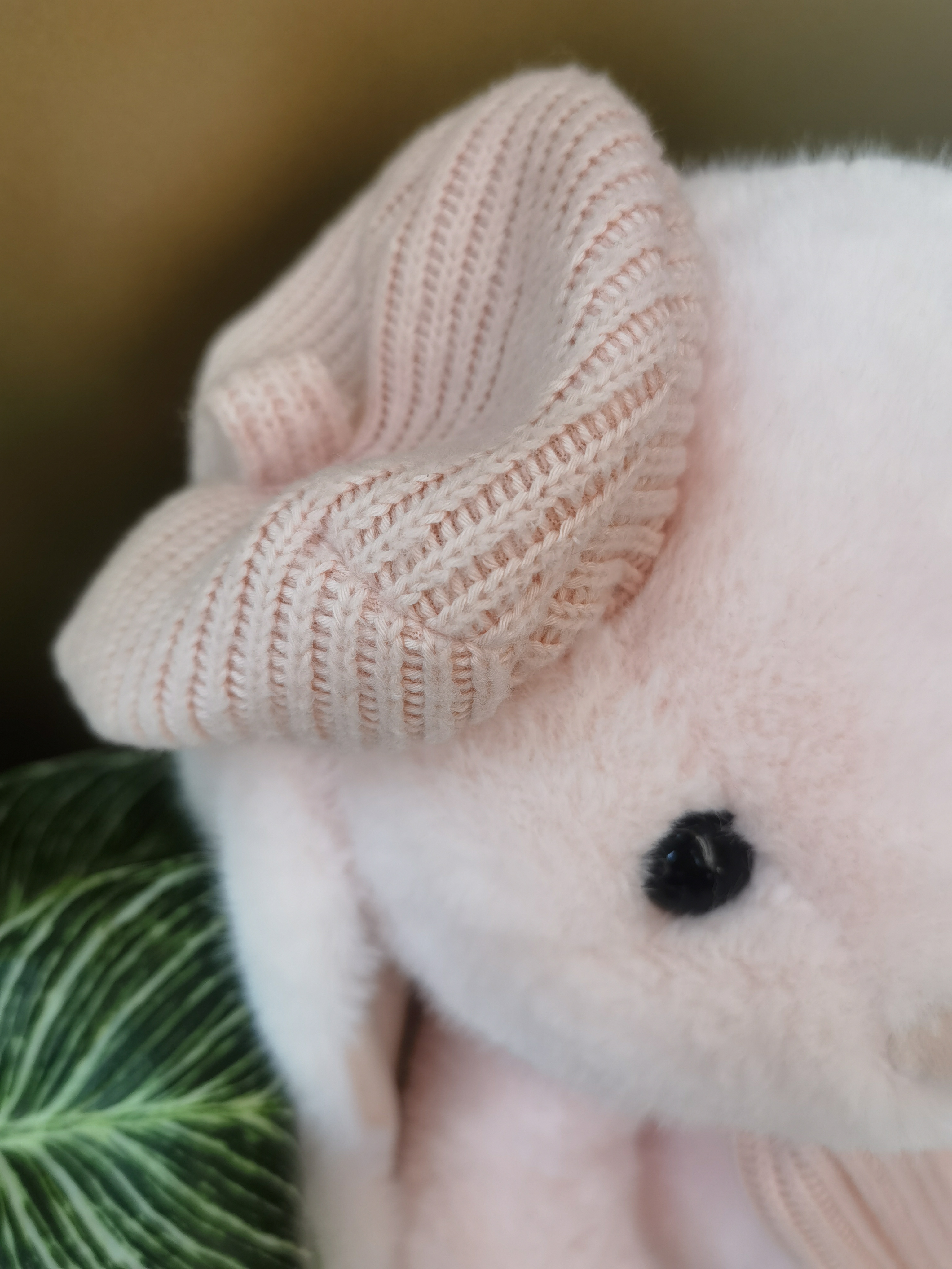 The 45CM Shengma Toy Store's cute rabbit is now available, with pink plush toys that will melt everyone's hearts! Application Scenario