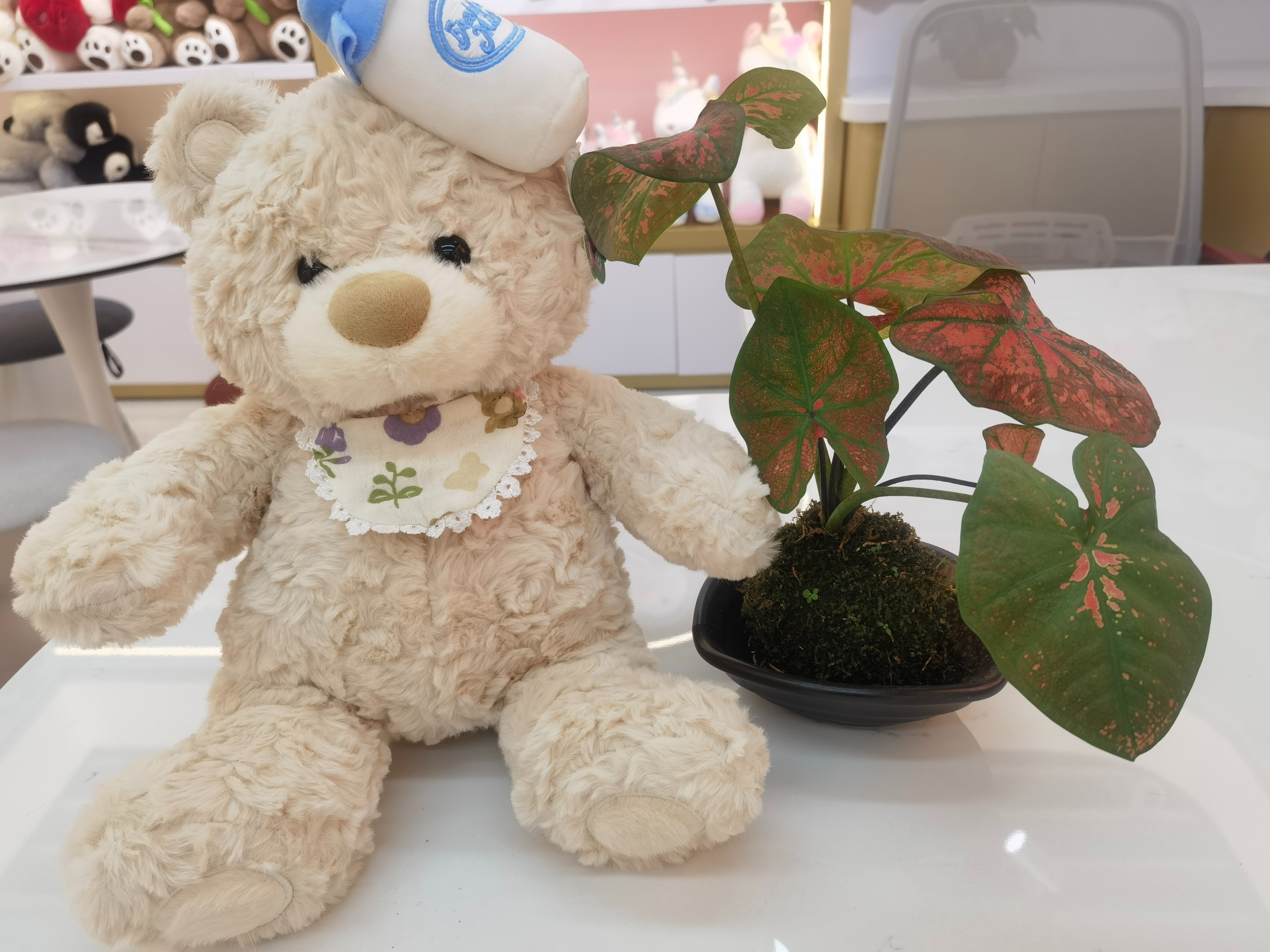 A 38CM cute bear wearing a baby bottle, adorable and cute! Heartwarming plush toys details Picture