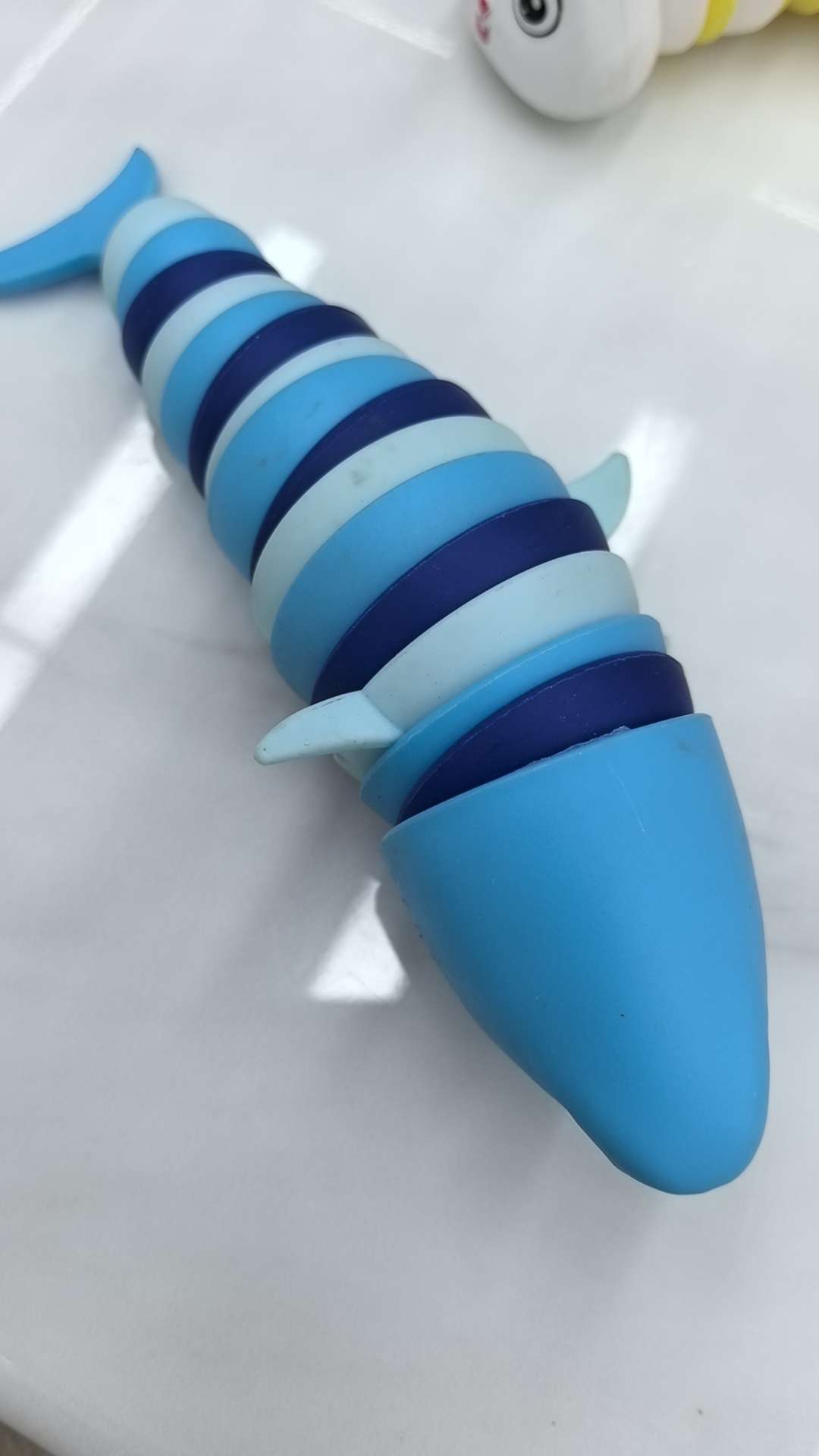 多节鲨鱼