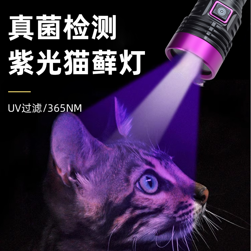 手电筒实物图