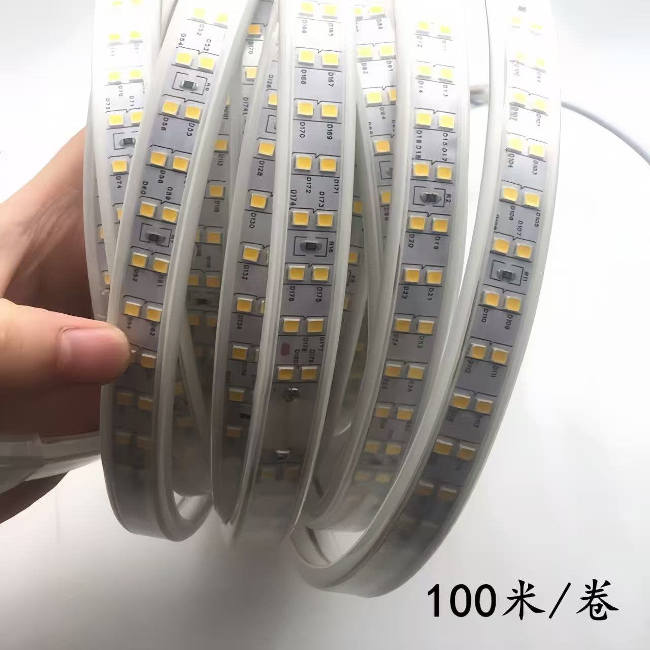 220V 高压 有导线 2835-120D-10MM 双排  LED灯带 户外家用防水 吊顶