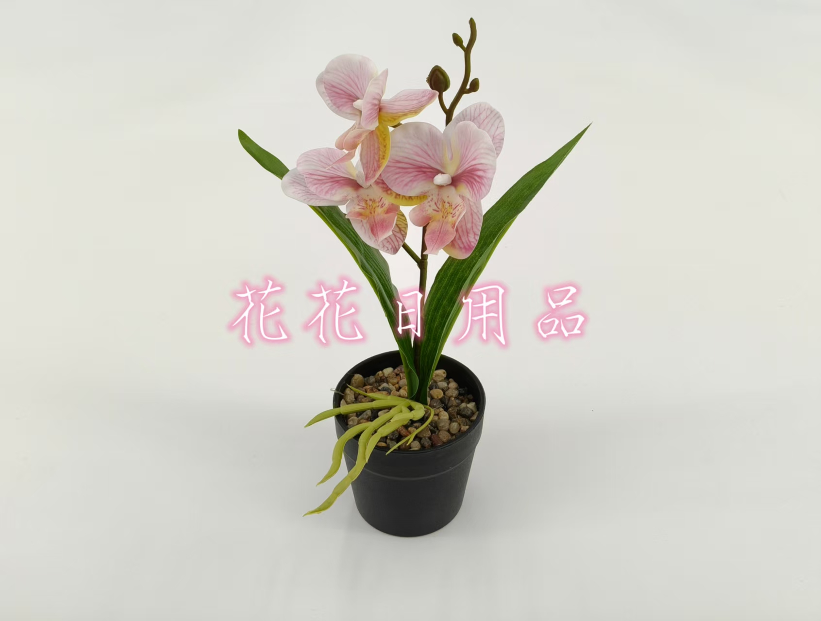 仿真花假花盆景塑料盆蝴蝶兰    