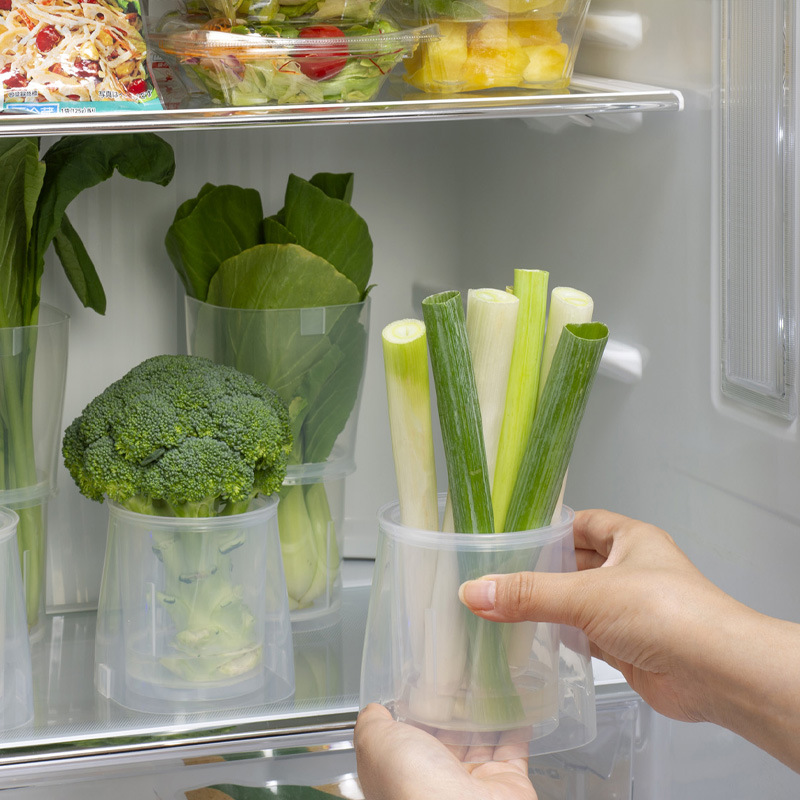 冰箱保鲜盒门蔬菜分格内侧密封罐置物架姜蒜分类整理葱收纳盒食物