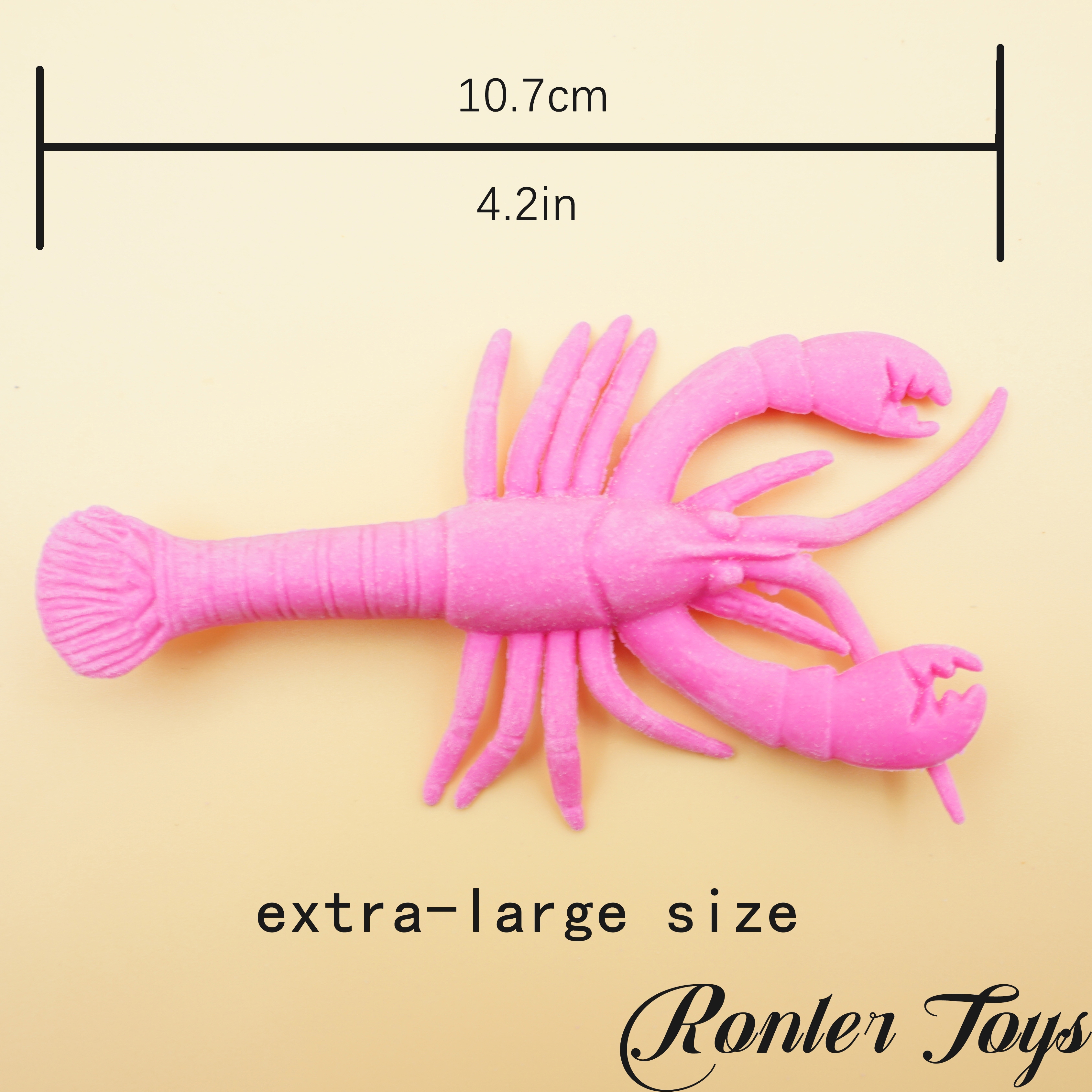 动植物/仿真模型实物图