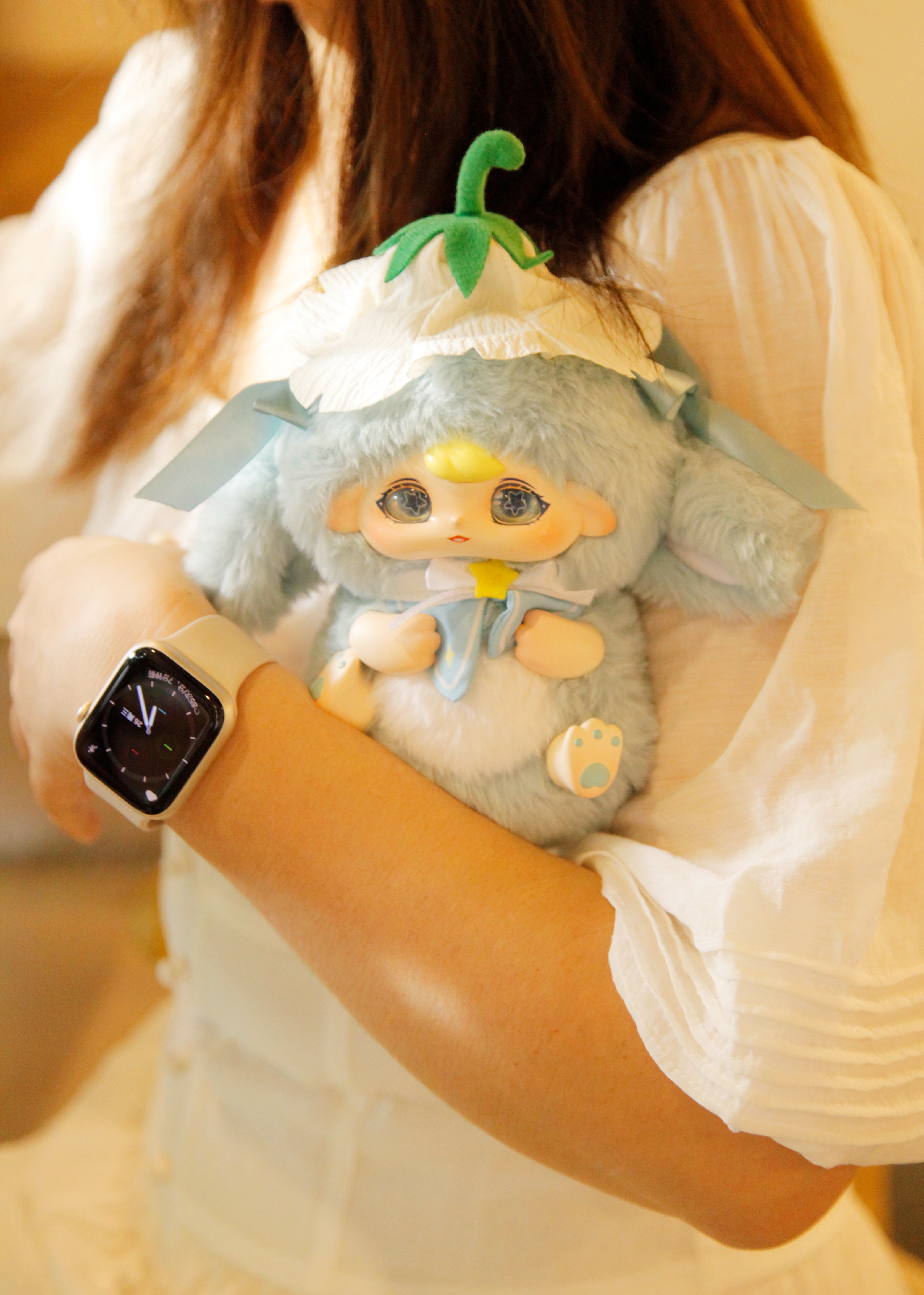 MOMO Jasmine Garden plush pendants, blind boxes, trendy plush toys, cute dolls, girls' gifts in stock Application Scenario