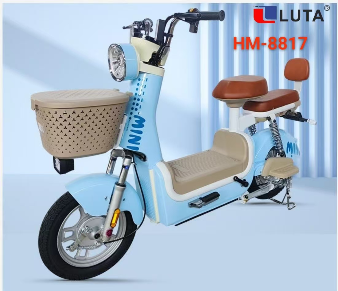 LUTA路踏电动车HM-8817
