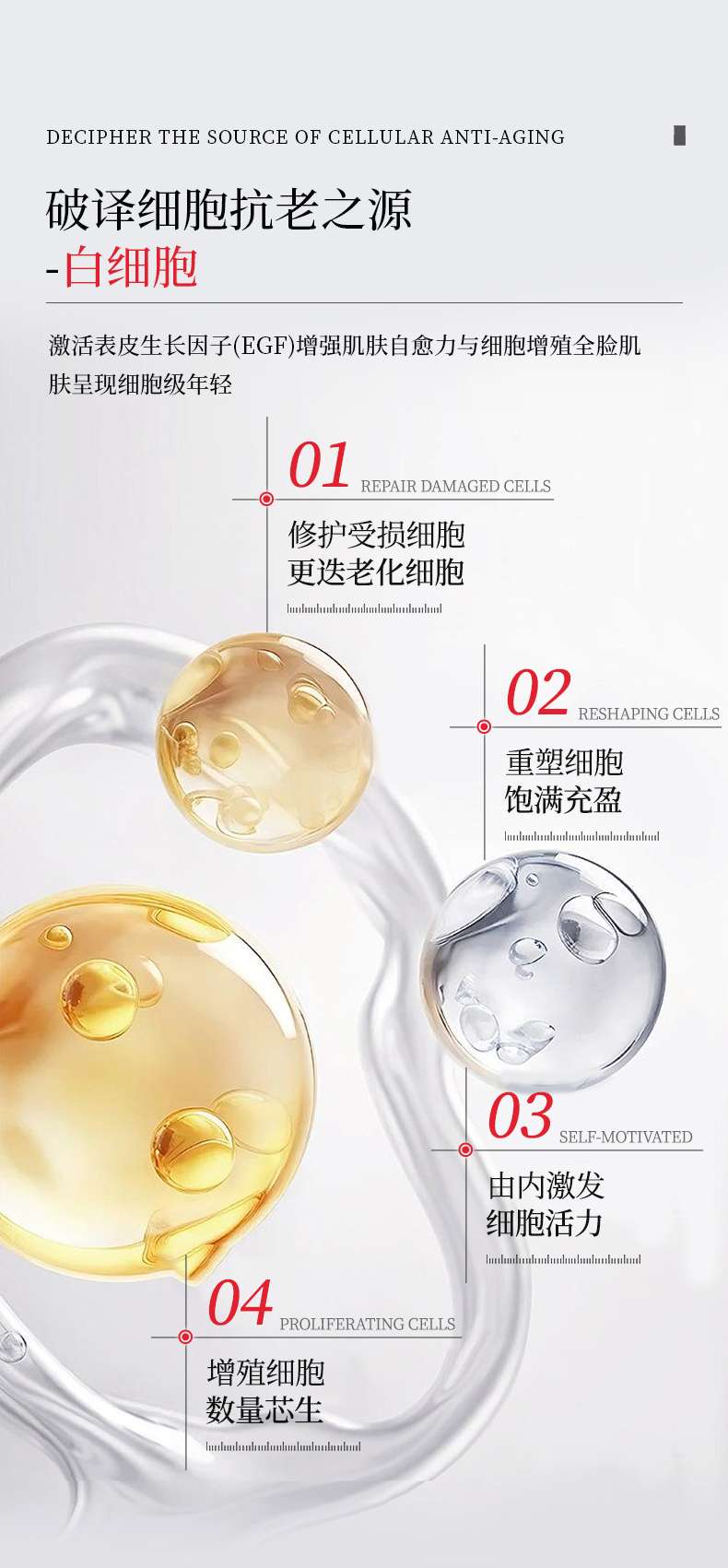 Tothallo White Blood Cell Collagen Supramolecular Revitalizing Cream detail image 10