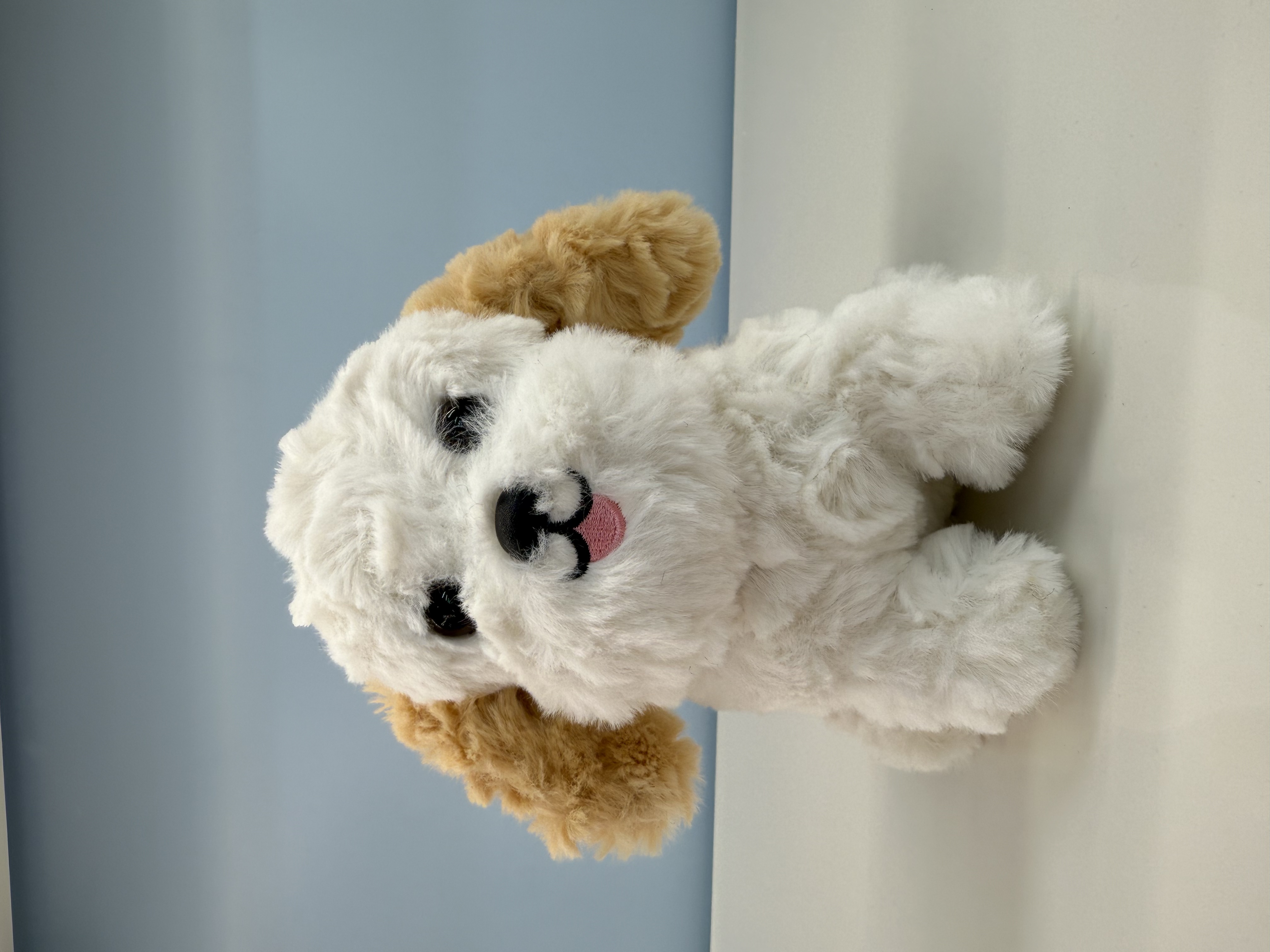 菲兔玩偶抱枕客厅沙发靠枕汽车腰靠女生床上睡觉娃娃