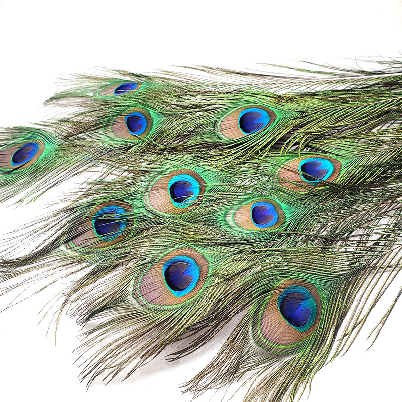 义乌孔雀羽毛大号批发/义乌孔雀羽毛批发/饰品配件羽毛/羽毛/山鸡毛细节图