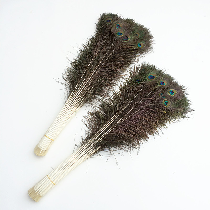 天然孔雀毛真孔雀尾翎毛插花装饰羽毛家居装饰